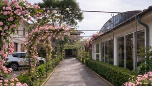 A narrow street with a row of pink flowers on the sides, a parked car, and a building with large windows on the right. - Hotel Villa Pina (Senigallia)