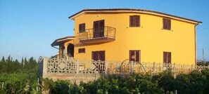 Exterior - Beautiful Villa in the Middle Vineyard #1 (Sardegna)