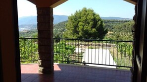 Interior - Beautiful Villa in the Middle Vineyard #1 (Sardegna)