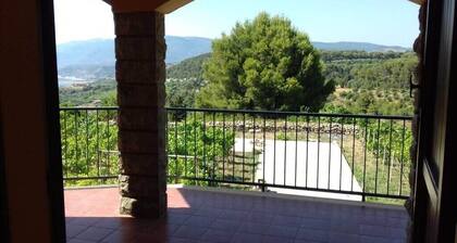 Beautiful Villa in the Middle Vineyard #2