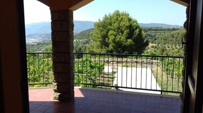 Beautiful Villa in the Middle Vineyard #2