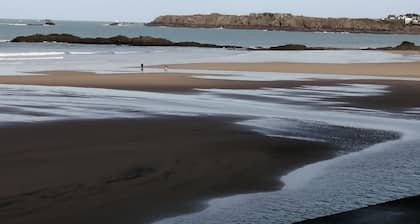 Appartement rez -de Chaussée en Centre Ville