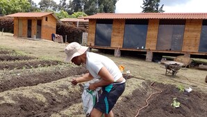 Garden - Green House (Cogua)