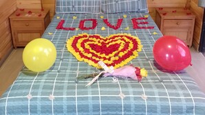 Romantic Suite, City View - Green House (Cogua)