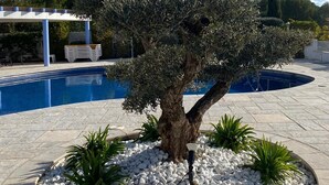Un espace piscine agrémenté d’un arbre entouré de galets blancs, d’une pergola et d’un ciel d’un bleu limpide.