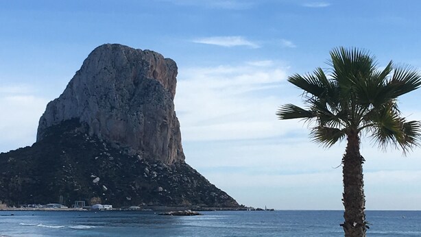 Une plage avec une formation rocheuse remarquable et un palmier.