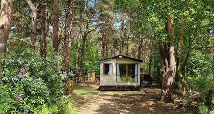 Modern Holiday Home in the 300 acre 5* Kelling Heath Holiday Park, North Norfolk
