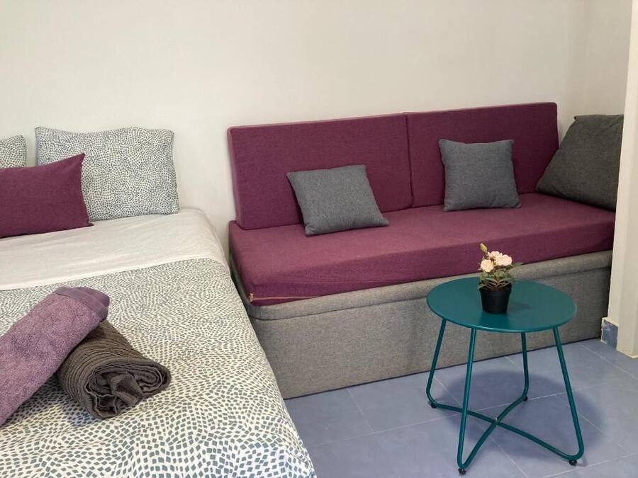 Una habitación con cama, sofá y una mesita con una planta.