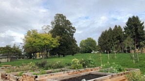 Ein Garten mit erhöhten Holzbeeten, einer Rasenfläche und Bäumen im Hintergrund.