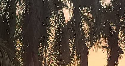 Cozy Oceanview Beach Townhome in Negril