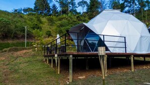 Estructura abovedada geométrica con entrada de cristal, sostenida por pilotes de madera, ubicada en un área cubierta de césped con árboles al fondo.