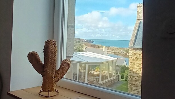 Un cactus en el alféizar de una ventana con vista a una zona costera y un edificio de piedra.