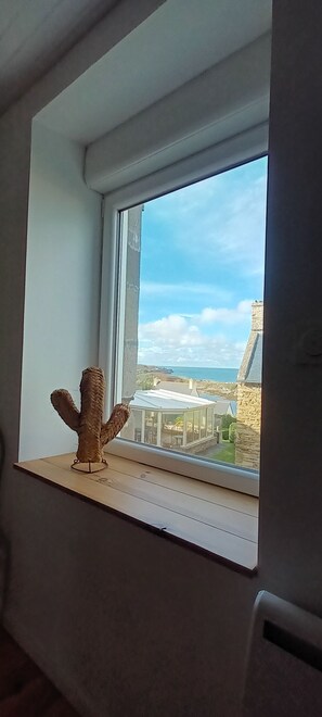 Un cactus sur un rebord de fenêtre, avec vue sur une zone côtière et un bâtiment en pierre.