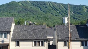 A residential area with houses and a mountain in the background.