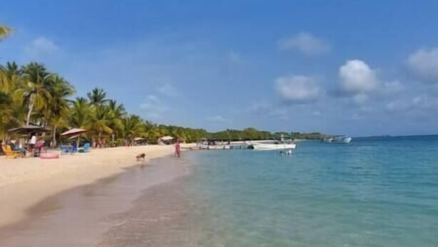 Una playa con agua cristalina, palmeras y un barco anclado cerca de la orilla.