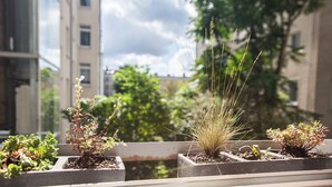 Plantas en macetas en un balcón con vistas a edificios y árboles.