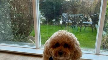 Pemandangan dari hartanah