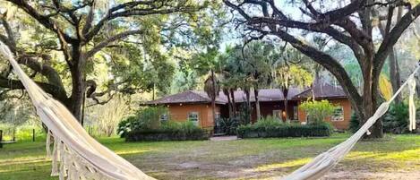 المنطقة المحيطة بالمنشأة