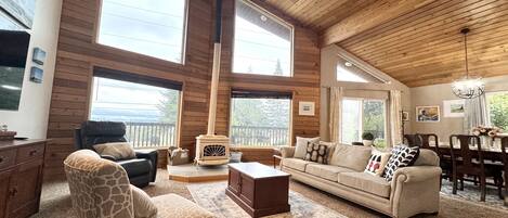 Smart TV, lareira, livros