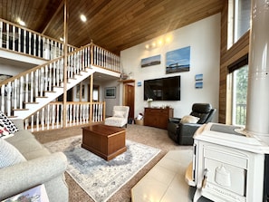 Smart TV, fireplace, books