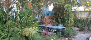 House | Outdoor dining - Beautiful 3-bed House in Saquarema (Saquarema)