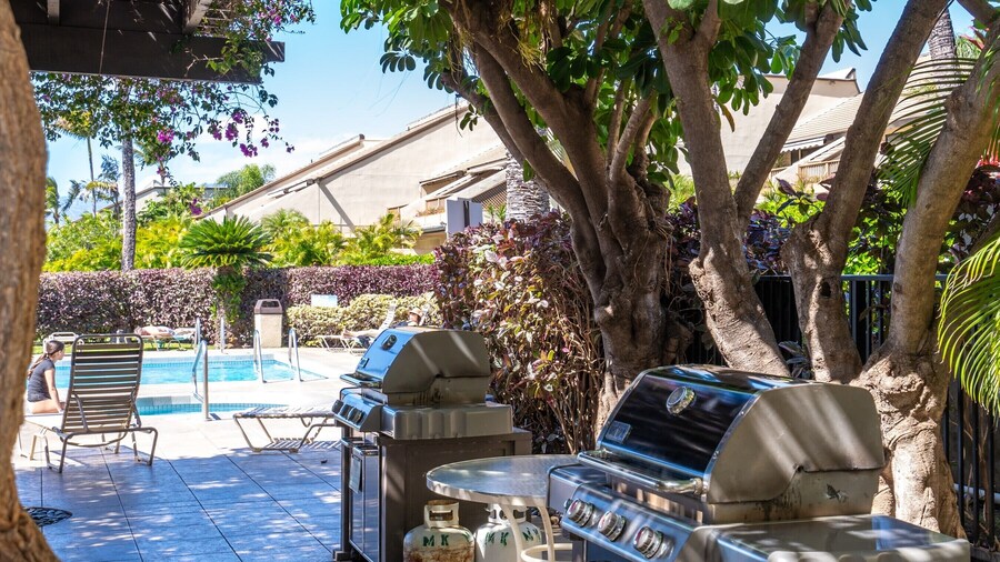 Upscale Luxurious Ocean Resort Vistas