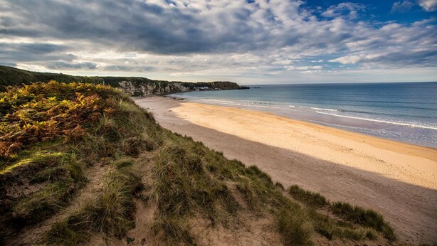 Une plage côtière avec un rivage sablonneux, des dunes herbeuses et une falaise en arrière-plan.