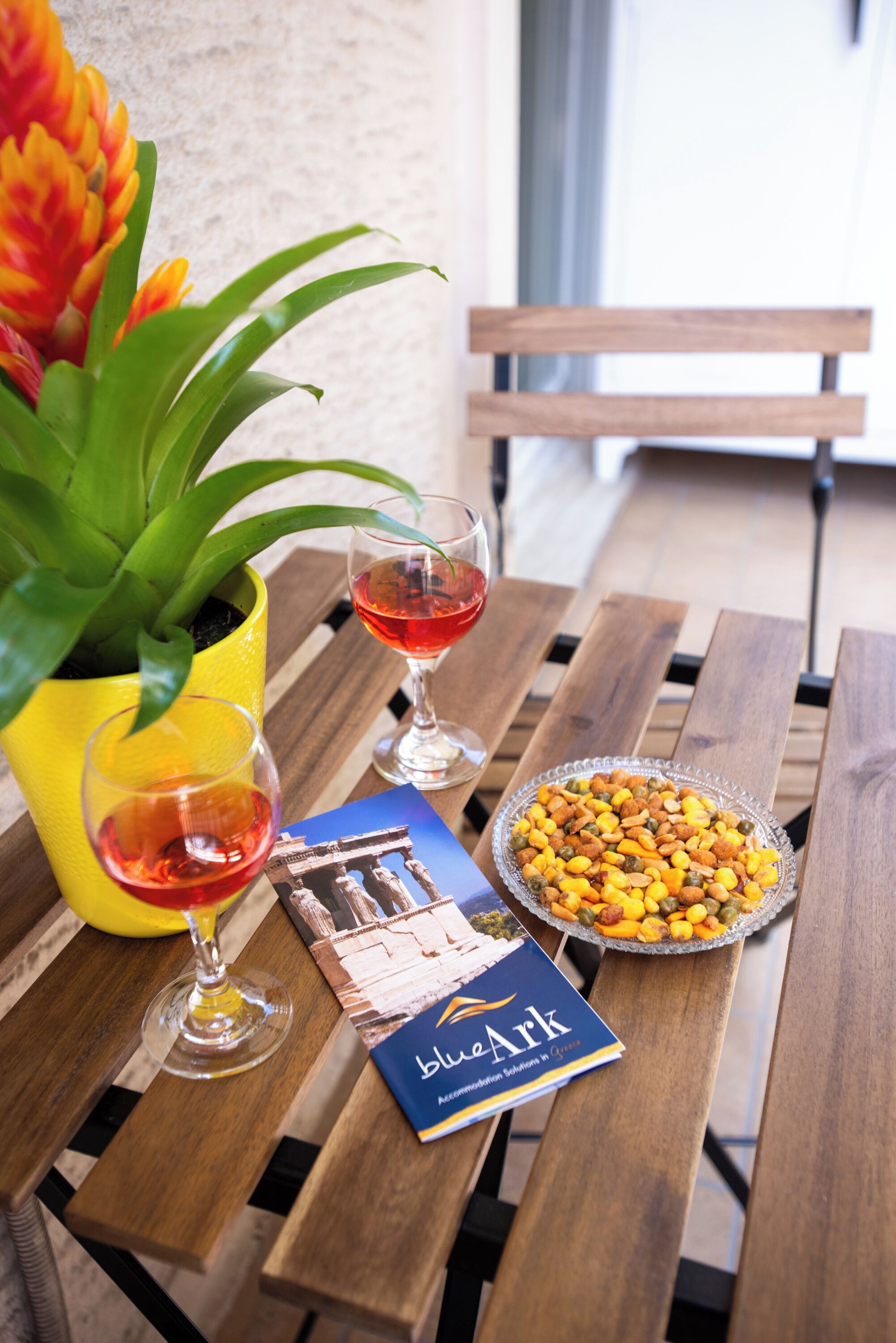 A wooden table with a potted plant, two wine glasses, a bowl of snacks, and a brochure.