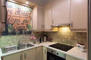 Fridge, microwave, oven, stovetop - Blue Ark Exploring Athens (Athens)