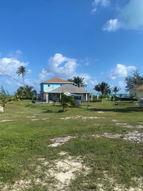 A residential area with houses, a grassy lawn, and palm trees under a clear sky.
