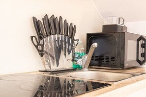 Frigorífico, microondas, horno y placa de cocina