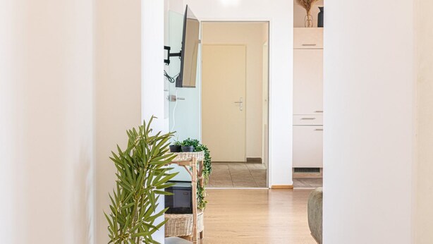 Un pasillo con una planta, una mesa de mimbre con plantas en macetas y una puerta que da a una habitación.