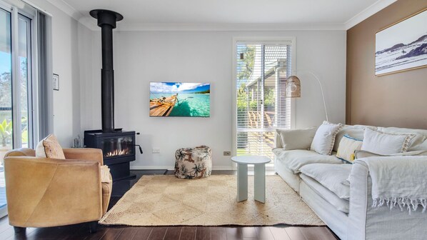 Smart TV, fireplace, books