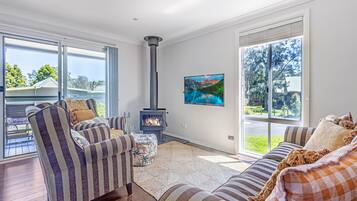 Smart TV, fireplace, books