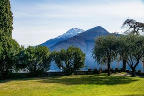 Zona verde con árboles y vista a la montaña.