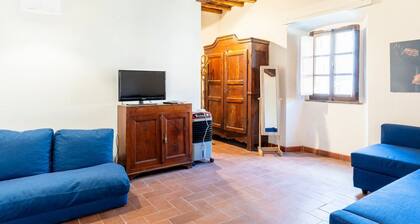 Cozy apartment of about 35sqm located on the ground floor of a renovated period building, without elevator (steps to access it). The accommodation is located in the historic center of Castagneto Carducci, a medieval village named after the well-known Ita