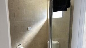 Un petit espace douche fermé, doté d’une porte en verre, de toilettes et d’un porte-serviettes.