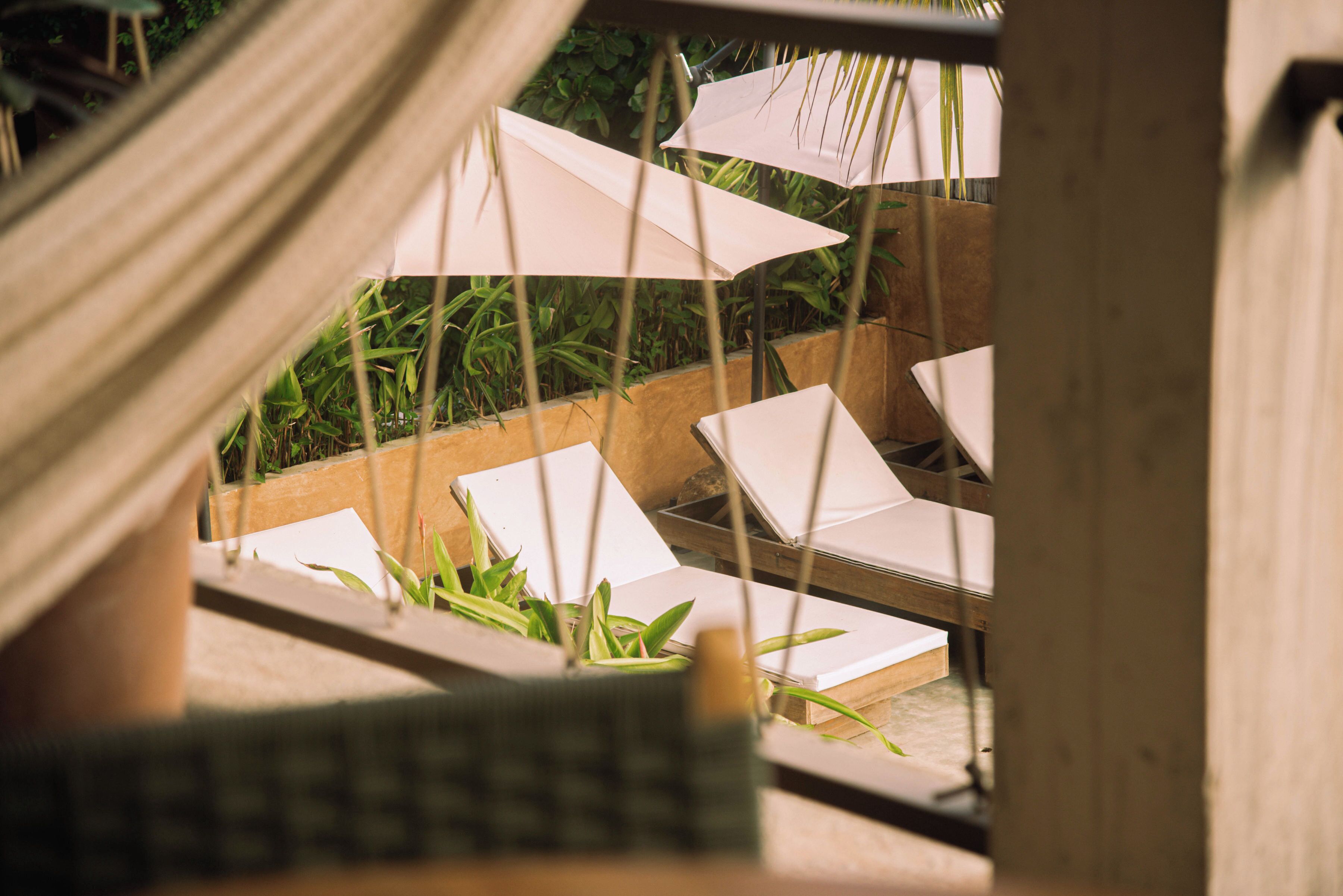 Een houten terras met lounge stoelen en parasols, omringd door groen.