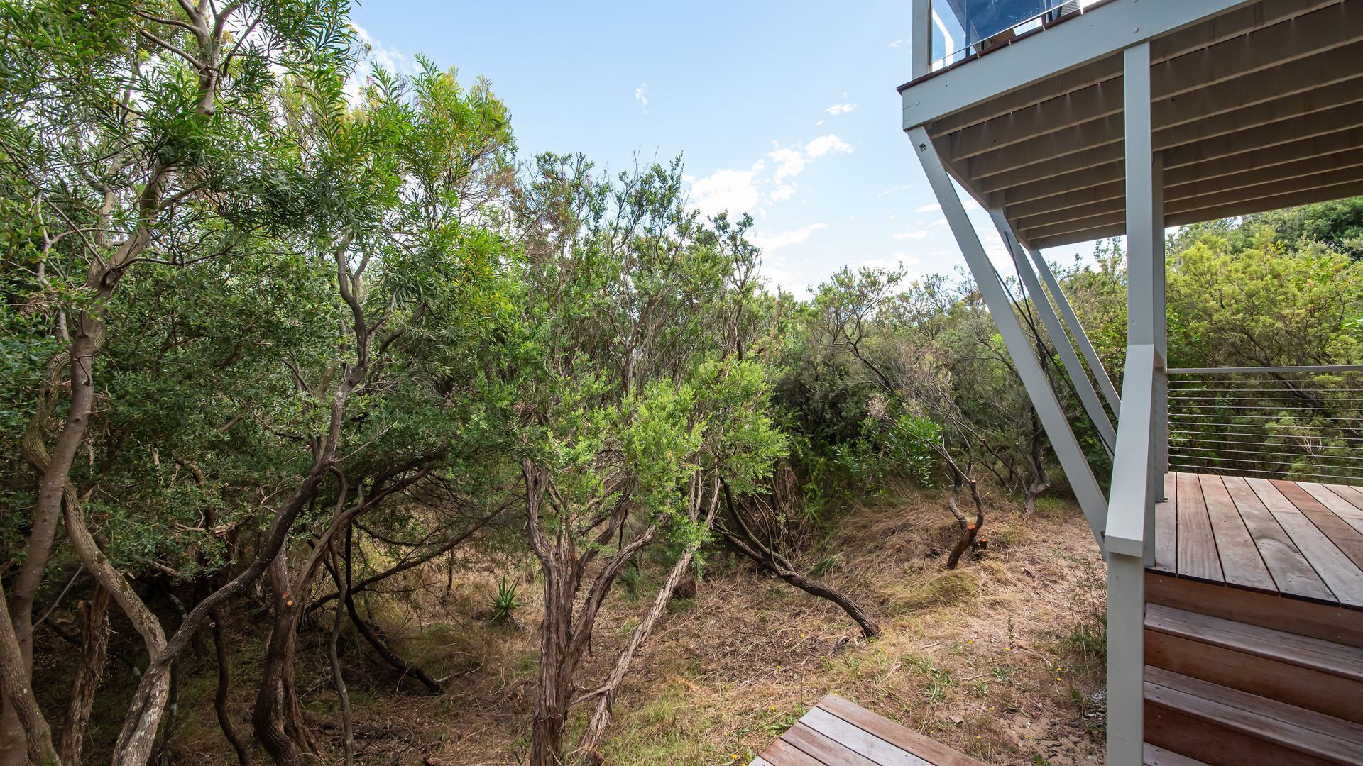 Eine Holzterrasse mit Blick auf dichtes Blätterwerk und einen klaren Himmel.