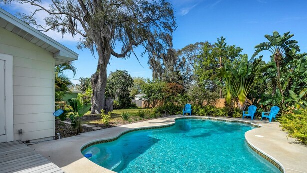 A clear swimming pool with a wooden deck and blue chairs, surrounded by lush greenery and trees. - Sea Board Pool Home - Monthly Vacation Rental (Clearwater)