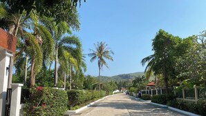Une rue résidentielle bordée de palmiers et de maisons.