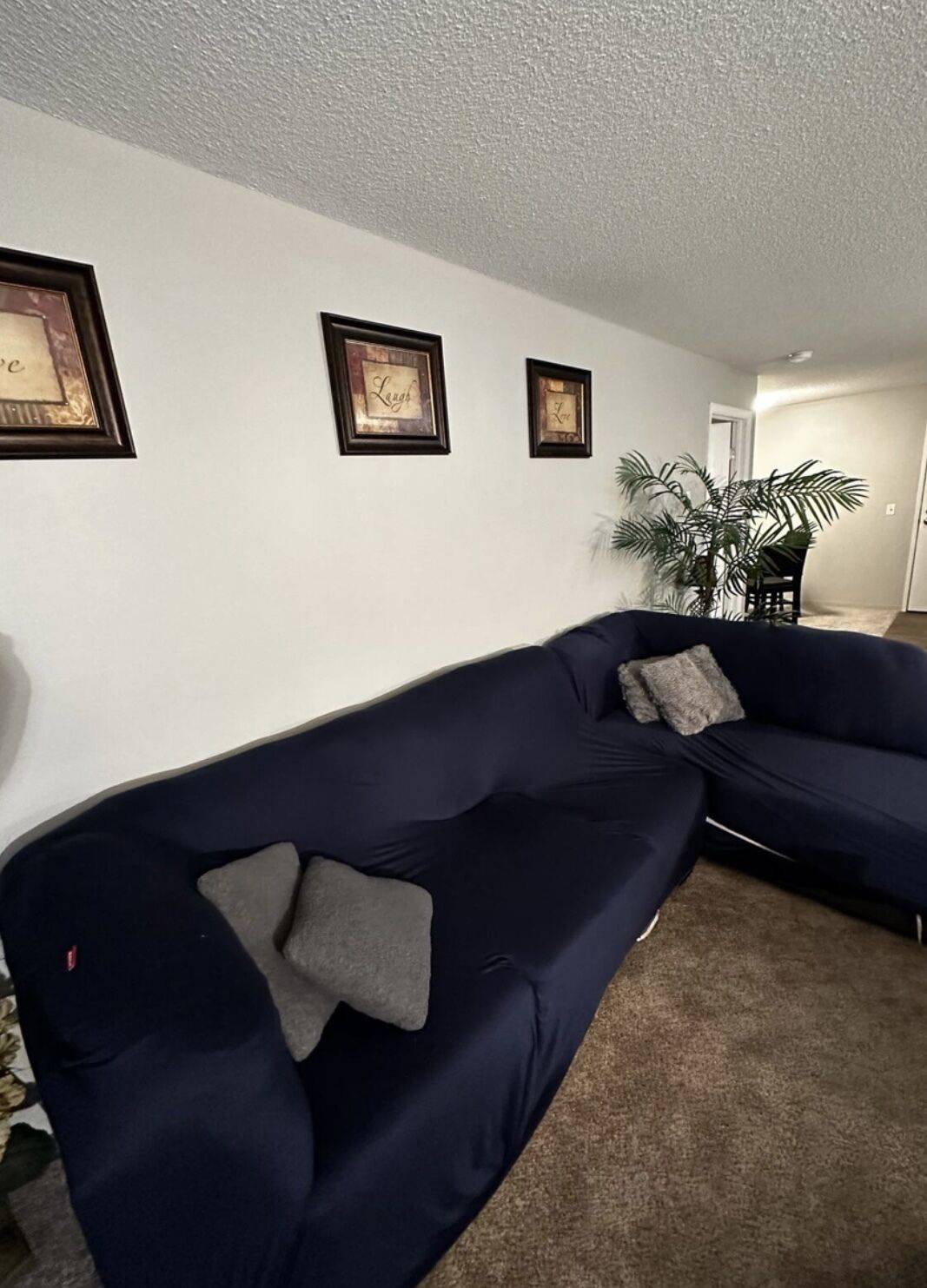 A living room with a dark blue sectional sofa, two framed pictures on the wall, and a potted plant.