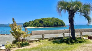 Zona costera con un muro de hormigón, una palmera y una pequeña isla con vegetación exuberante al fondo.