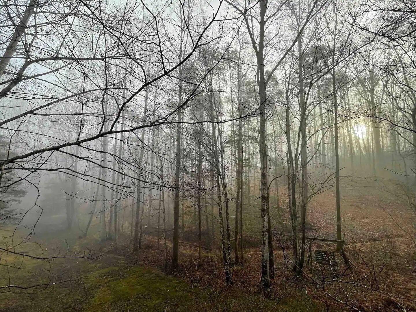 Designer cabin in the woods at Shenandoah NP