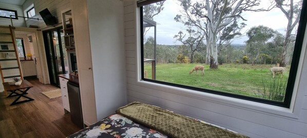 A room with a large window overlooking a grassy area with trees.