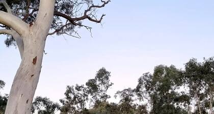 Tiny House/Retreat in Adelaide Hills. Secluded, peaceful, country views.
