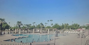 A swimming pool with multiple lanes, surrounded by palm trees and shaded areas.