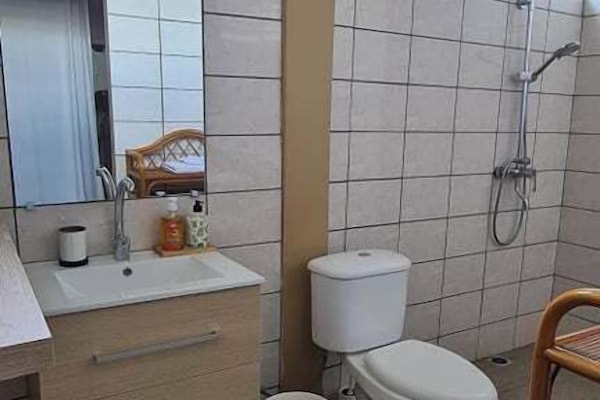 Classic Double Room, 1 Queen Bed, Private Bathroom, Poolside | Bathroom | Shower, towels, shampoo, toilet paper