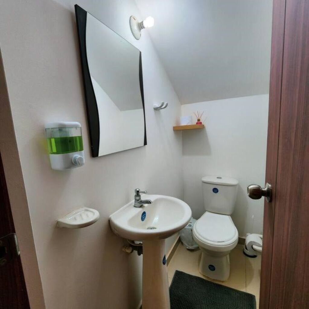 Ducha, toallas, jabón, papel higiénico