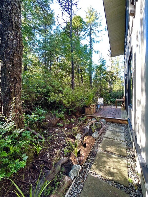 A garden pathway leading to a deck area with a wooden bench and table, surrounded by dense greenery and trees.